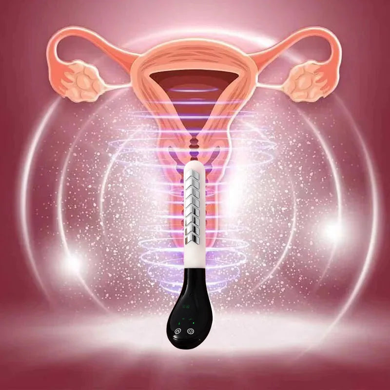 Pelvic Floor Repair Device